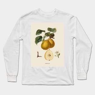 Pear Antique Botanical Illustration Long Sleeve T-Shirt